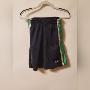 Nike Dri-Fit Blue And Green Shorts